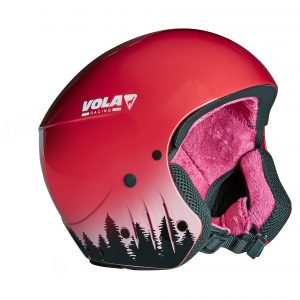 Kask GS FIS – Wood